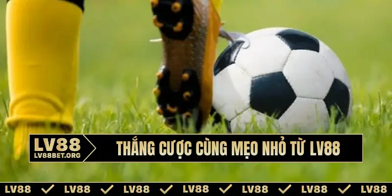 Thắng cược cùng mẹo nhỏ từ LV88